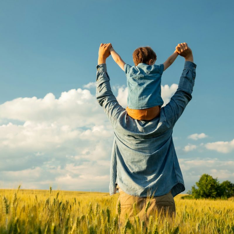 father and son in wheat field, child sitting on his fathers shoulders